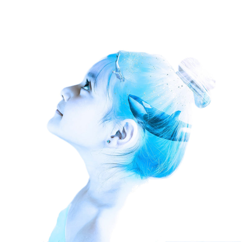 She Dreams Collection