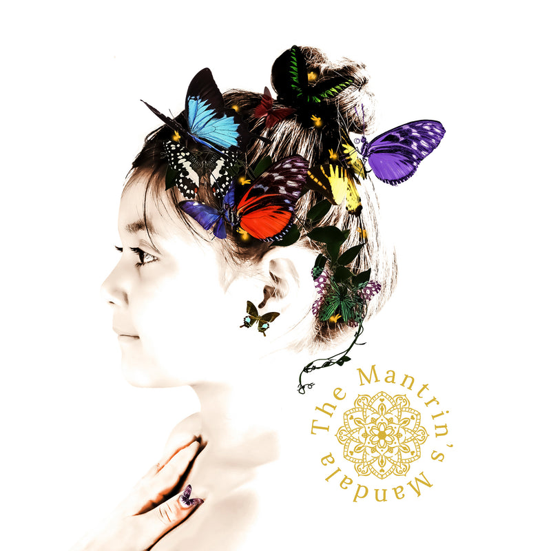 Butterfly art print set in a wooden frame atop a desk with a view to an art deco living room beyond