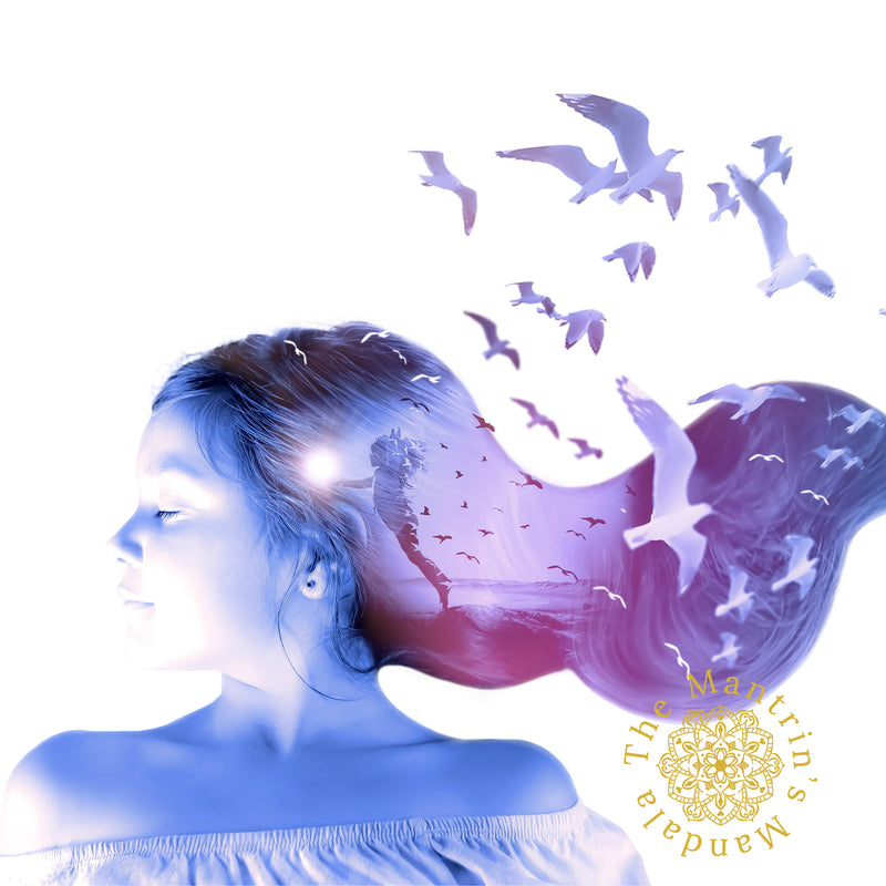 Freedom canvas art print mounted on a wall above a dusty pink velvet sofa with pink and white objects displayed on one side