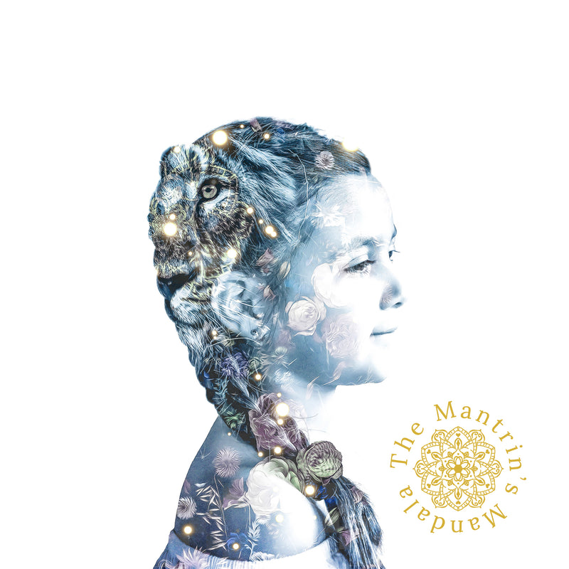 Lion Flower art print framed on a living room wall with plants and minimalist modern style furnishings